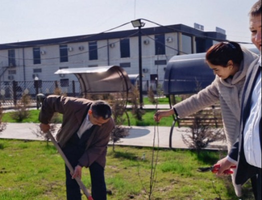 Hashar elga yarashar!